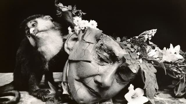 Witkin & Witkin