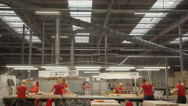 How Ikea Plunders the Planet