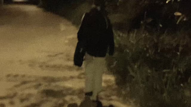 A Short Film About: Lis & Luíz