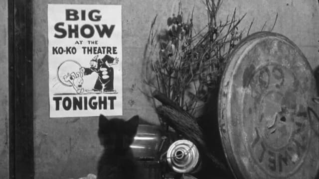 It's the Cat's