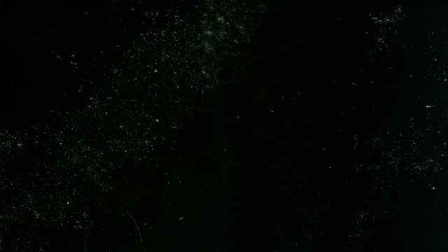 Here are some Images