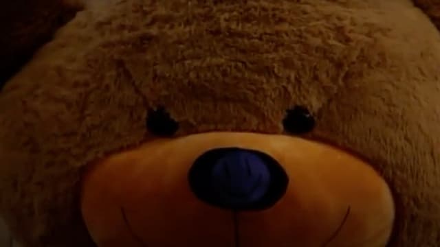 Steven's Last Night in Town