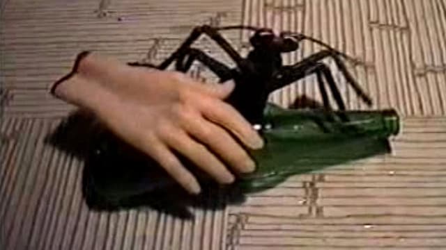 The Devil Ant