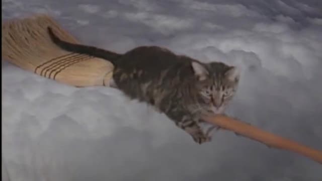 Catastrophy