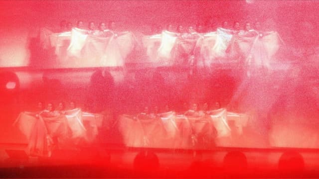 the revenant princess