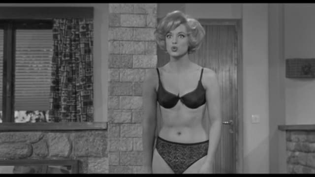 Adventure at the Motel