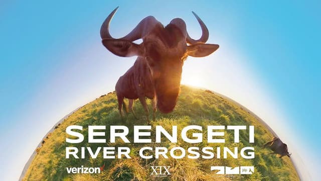 Serengeti River Crossing