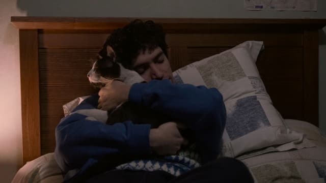 The Palm Trees (Documentary Niños del Cerro)