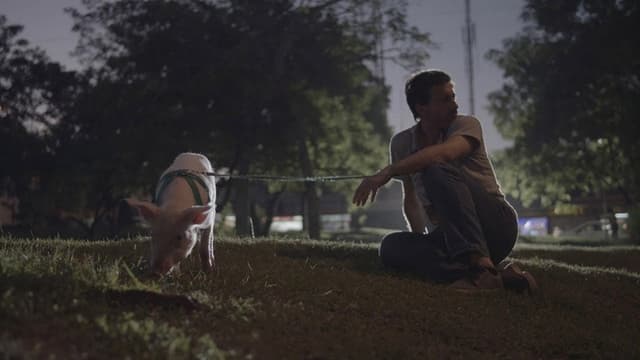Homecoming Ghost
