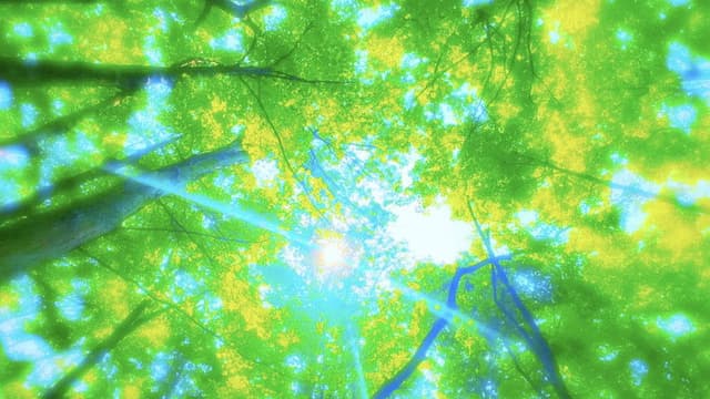 ULTRA SOMNIUM (Beyond a Dream)