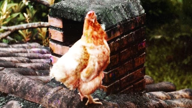 Poluição dos Mares & Oceanos