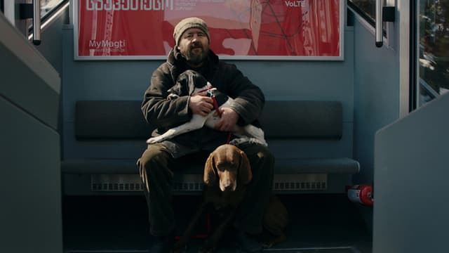 Snowflakes in my Yard