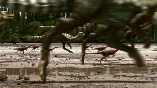 Dino Stampede