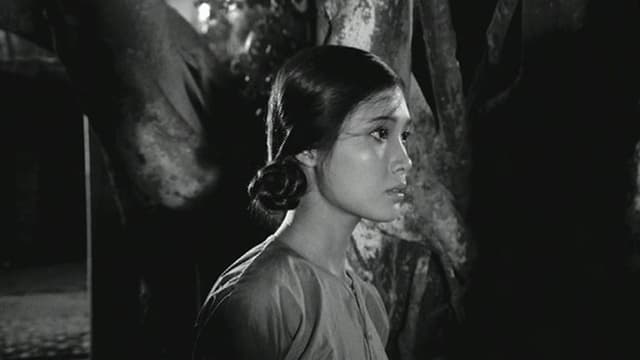 When the Tenth Month Comes