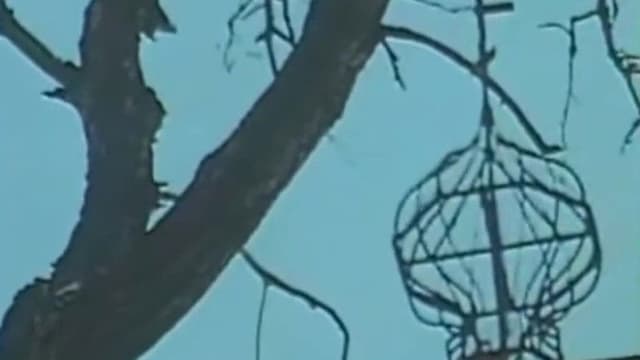 The Cimmerian Hermit