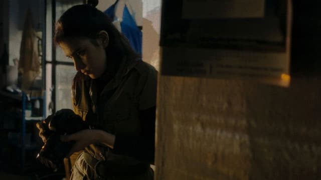 Inventário de Imagens Perdidas