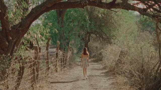 Emotional Landscapes