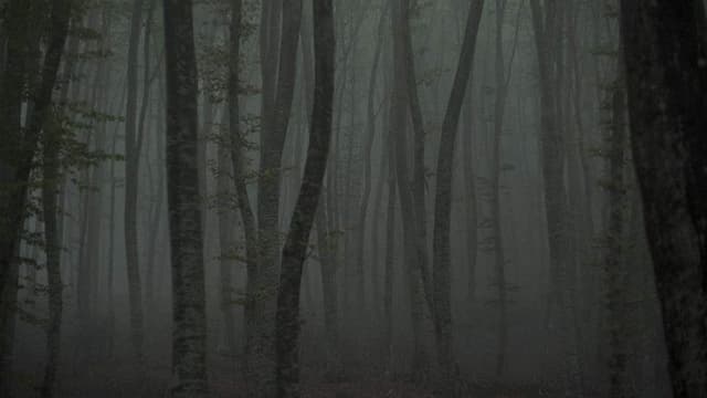 Refuge II: The Ice Path