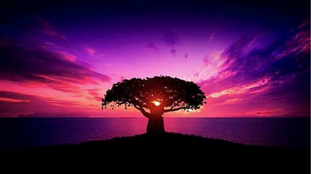 Dis-moi ta classe je te dirai qui tuer