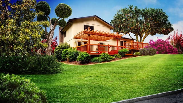 Curb Appeal Xtreme