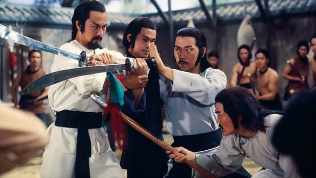 The Kung Fu Instructor