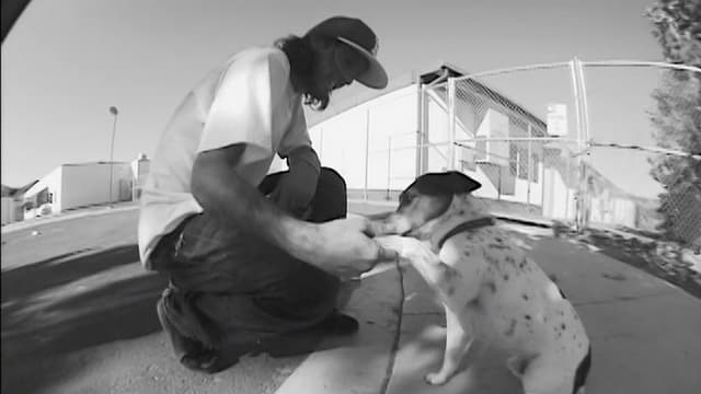 Mystery - Black & White