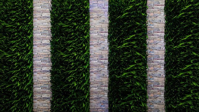 The Elle Duncan Show