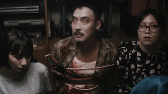 Zombies in the House