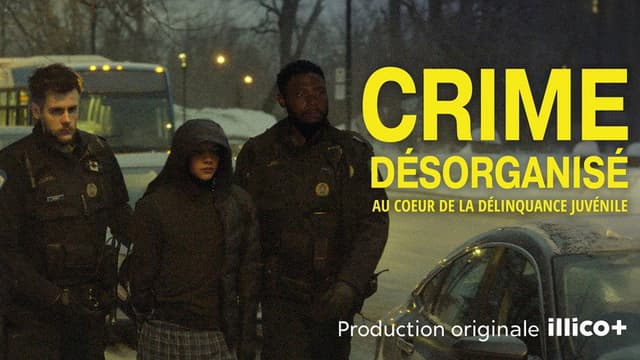 Crime désorganisé: au cœur de la délinquance juvénile
