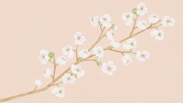 Blossom