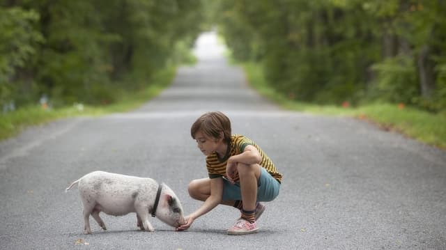 Hotell Gyllene Knorren - filmen