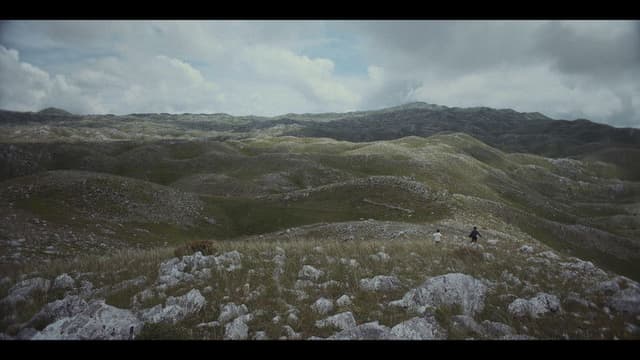 Largohen Dallëndyshet