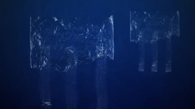 The Skoupidozoic Era