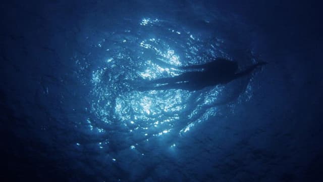 Les dents de la mer: Un succès monstre