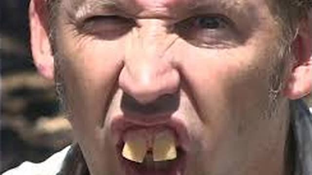 Fudgy Wudgy Fudge Face