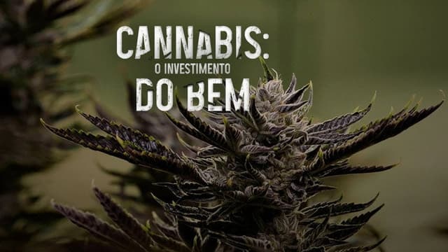Cannabis: O Investimento do Bem