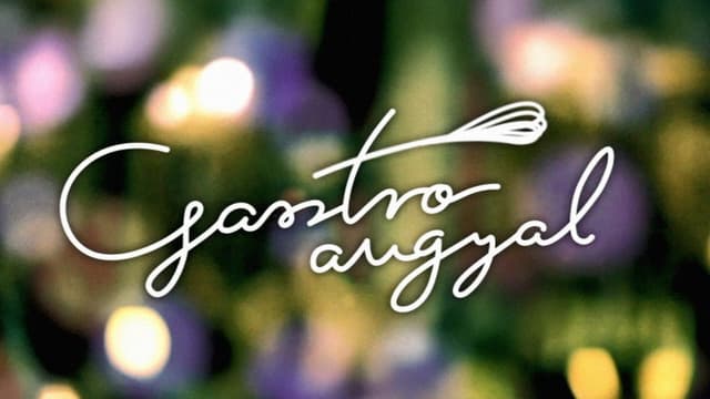 Gasztroangyal