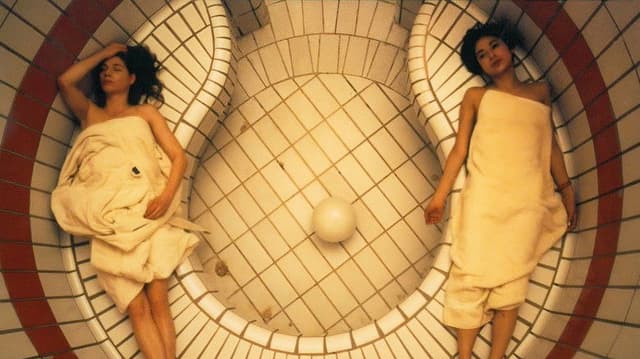 The Girl Who Picks Flowers and the Girl Who Kills Insects