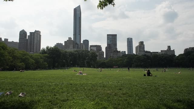 The Voices of New York