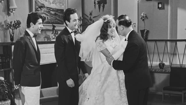 My Groom, the Lawyer!