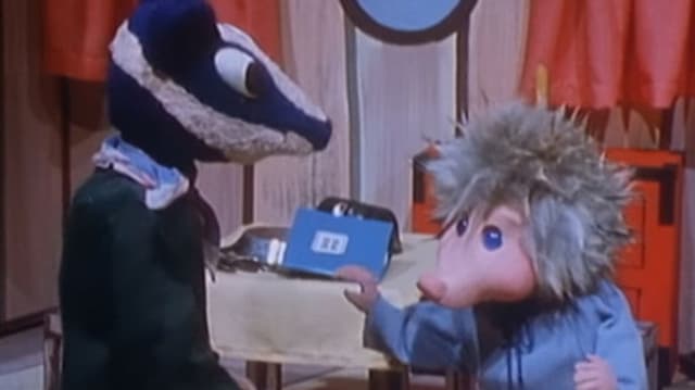 Dominik Dachs und die Katzenpiraten