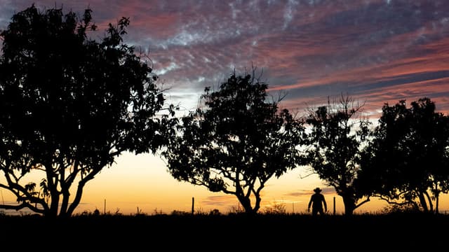 Ese tú que se me escapa