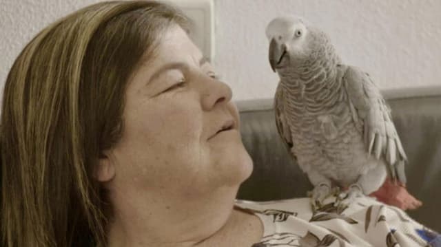 The Prostitution Monologues