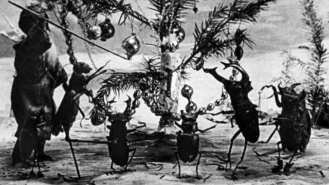 The Insects' Christmas