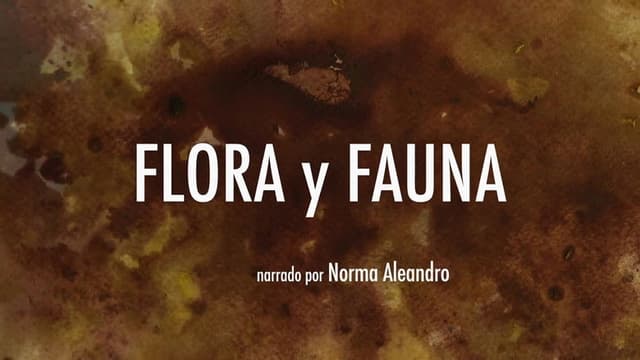 Flora y fauna