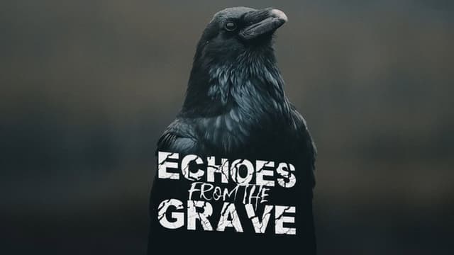 Echoes From The Grave