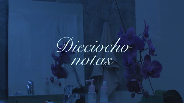 Dieciocho Notas