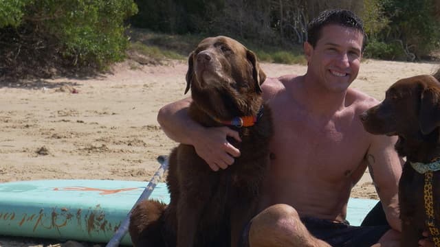Bono, O Cão Surfista