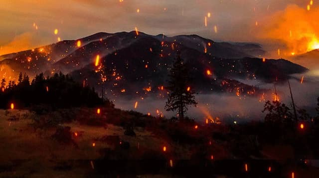 Elemental: Reimagine Wildfire