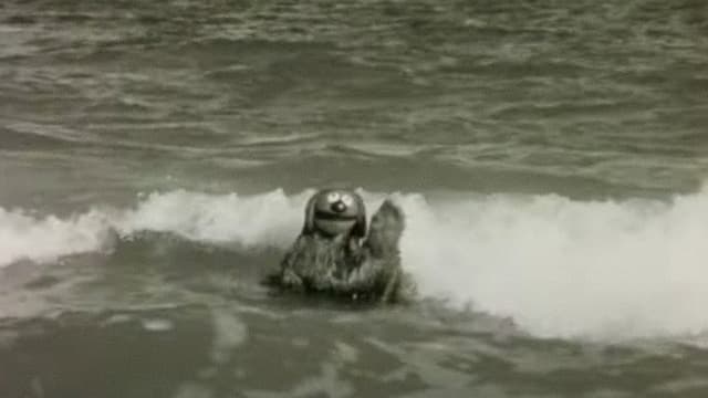Rowlf the Salesman